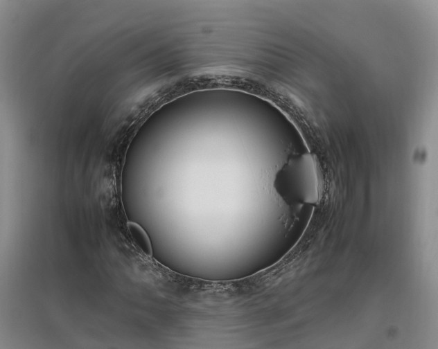 X0000097001062200802151409