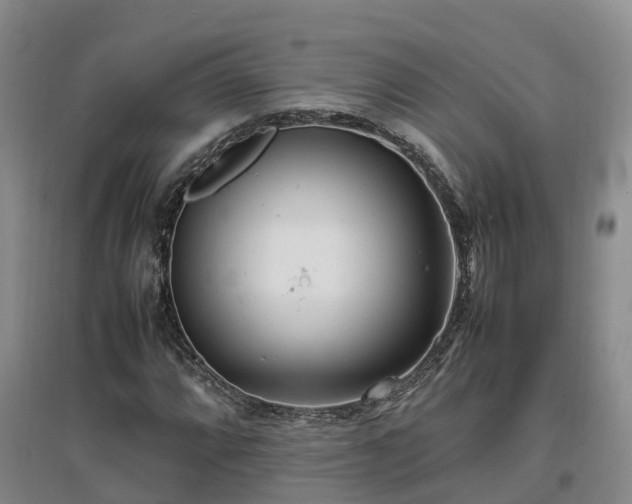 X0000097001064200802151409