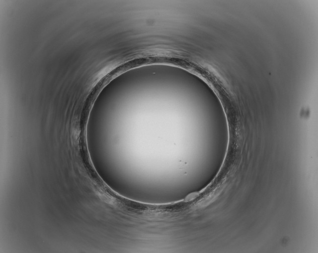 X0000097001065200802151409