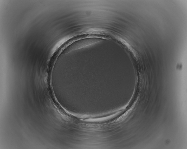 X0000097001066200802151409