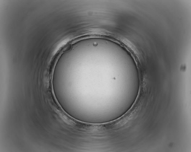 X0000097001067200802151409