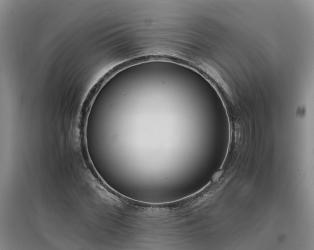 X0000097001068200802151409