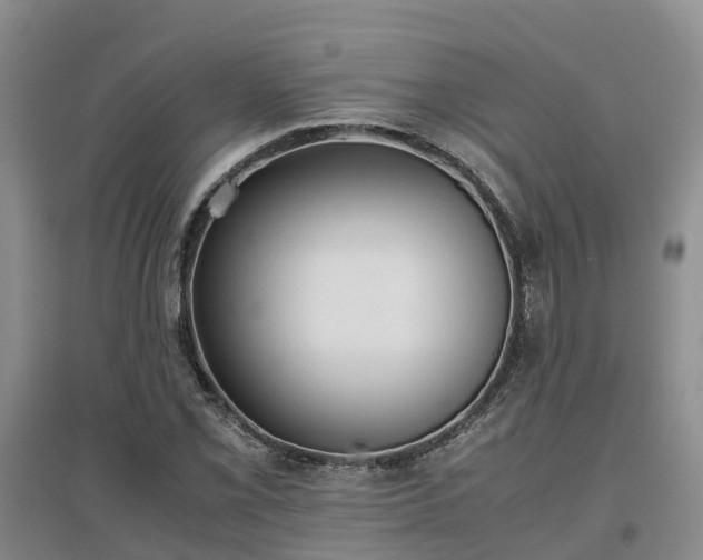 X0000097001069200802151409