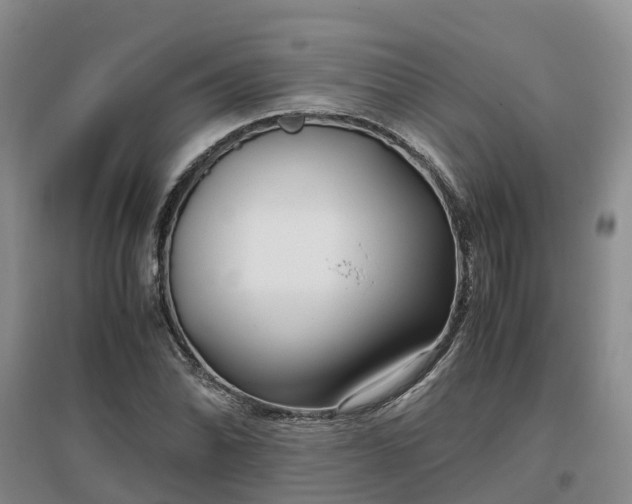 X0000097001070200802151409