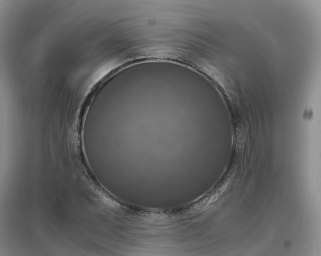 X0000097001071200802151409