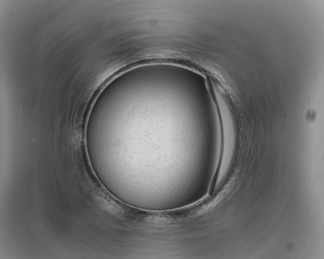 X0000097001073200802151409