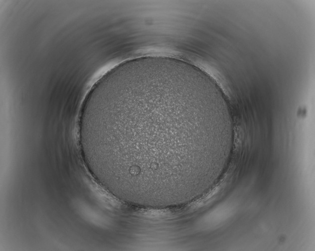 X0000097001074200802151409