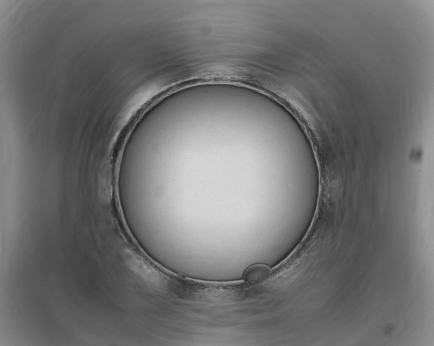 X0000097001075200802151409