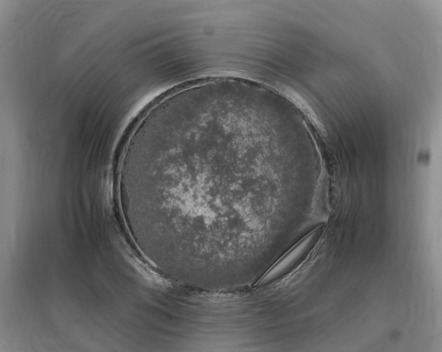 X0000097001076200802151409