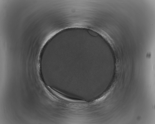 X0000097001077200802151409