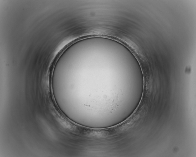 X0000097001078200802151409
