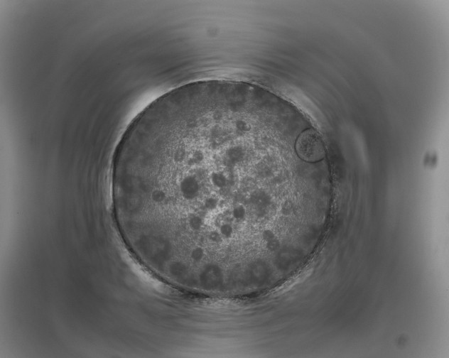 X0000097001079200802151409