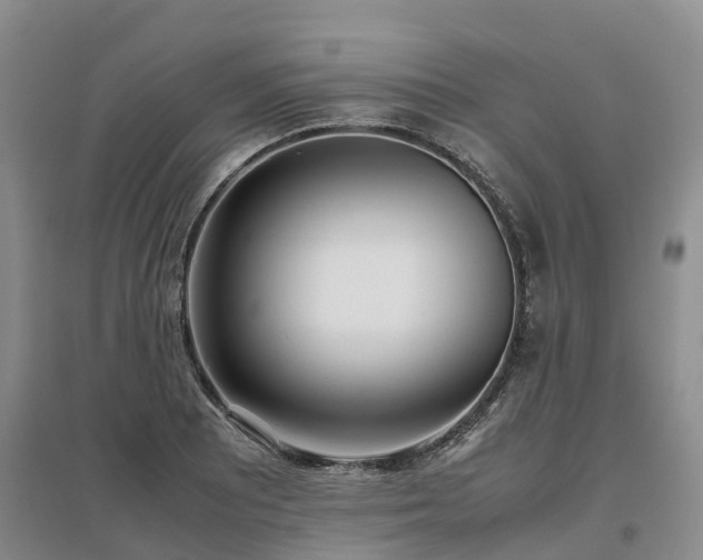 X0000097001081200802151409