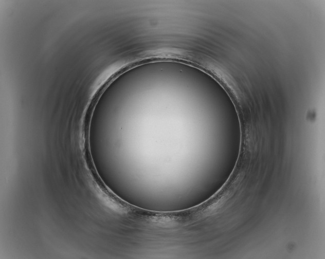X0000097001082200802151409