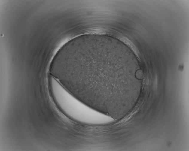 X0000097001083200802151409