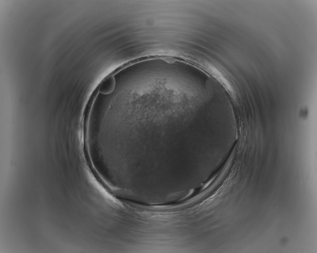 X0000097001084200802151409