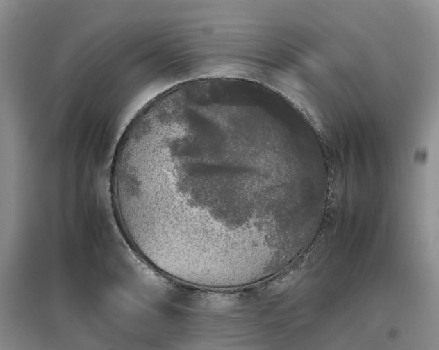 X0000097001086200802151409