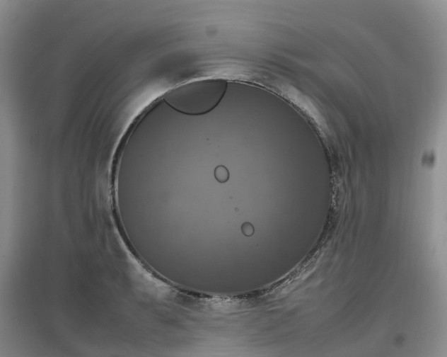 X0000097001087200802151409