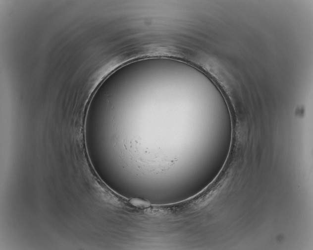 X0000097001089200802151409