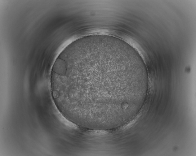 X0000097001090200802151409