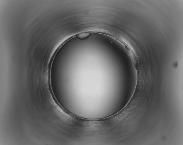 X0000097001092200802151409