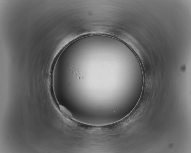X0000097001093200802151409