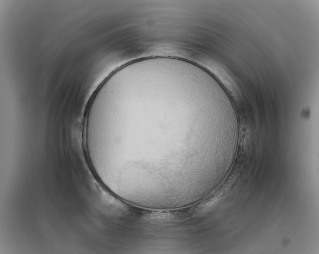 X0000097001094200802151409