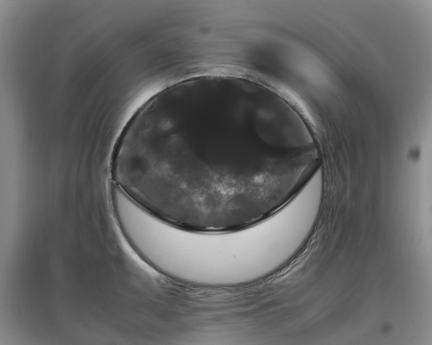 X0000097001095200802151409