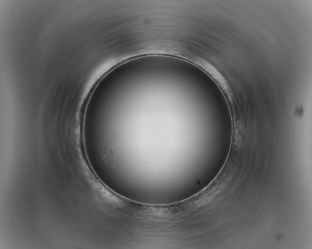 X0000097001096200802151409