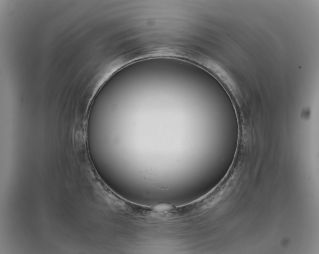 X0000097001097200802151409