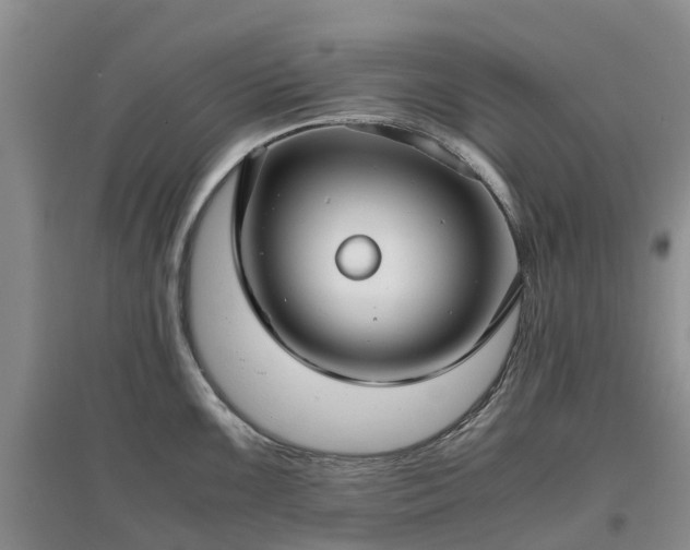 X0000097001099200802151409