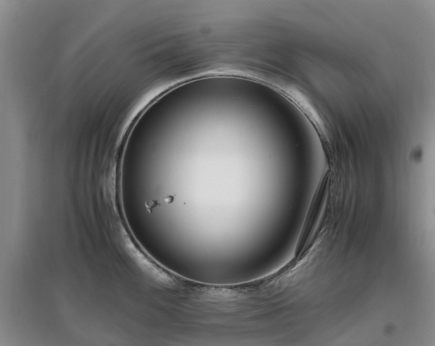 X0000097001100200802151409
