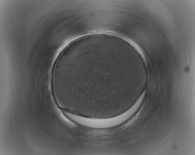 X0000097001102200802151409