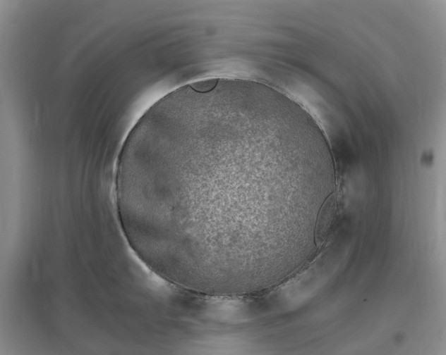 X0000097001103200802151409