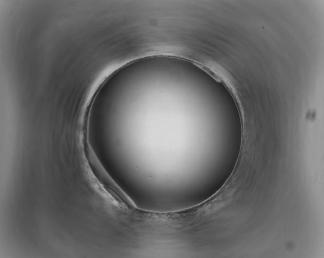 X0000097001104200802151409