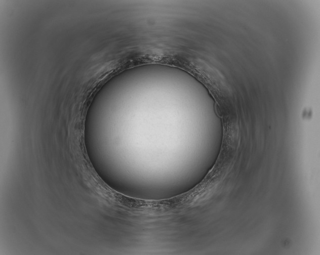 X0000097001105200802151408