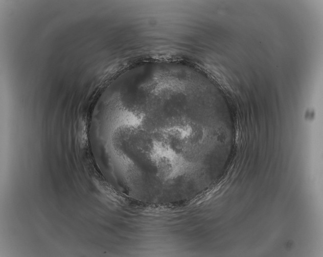 X0000097001106200802151408