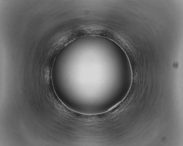 X0000097001108200802151408