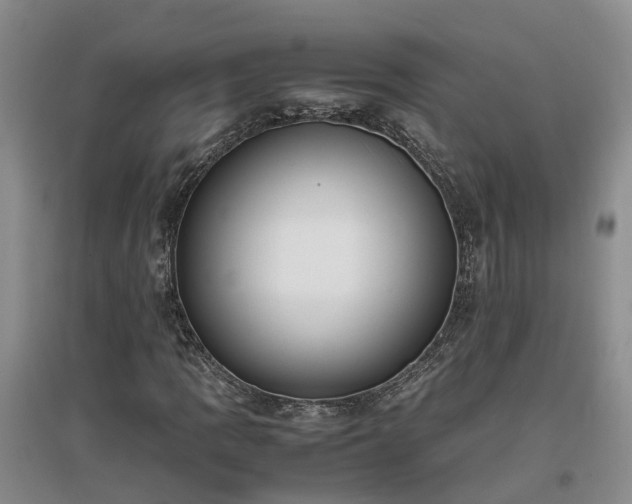 X0000097001109200802151408