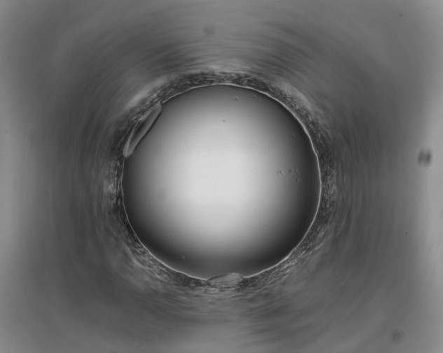 X0000097001110200802151408