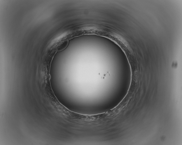 X0000097001111200802151408