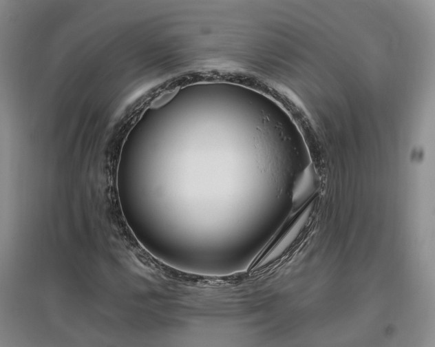 X0000097001112200802151408