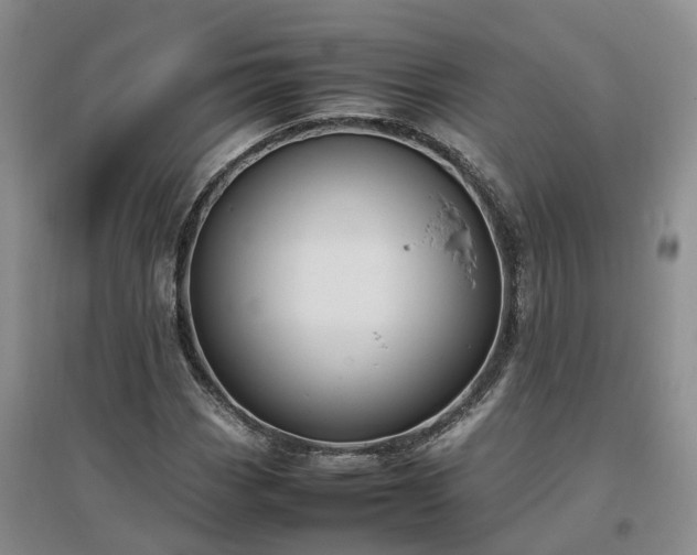 X0000097001113200802151408