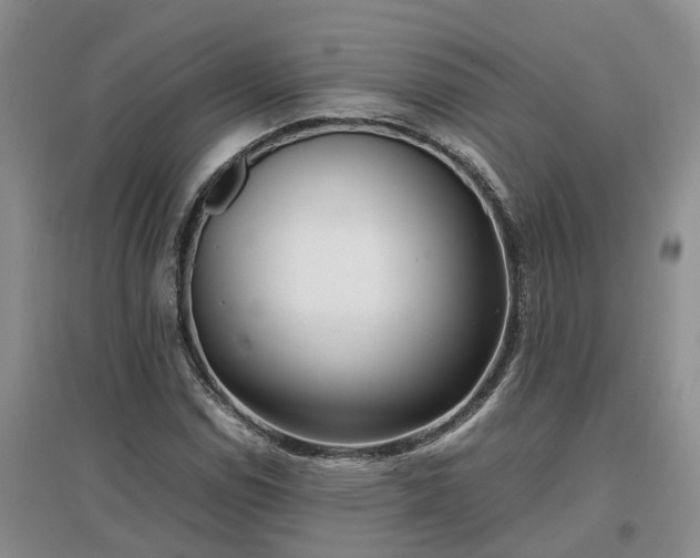 X0000097001114200802151408