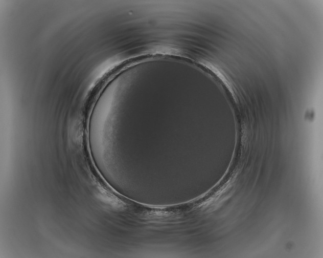 X0000097001115200802151408