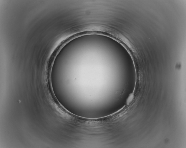 X0000097001116200802151408