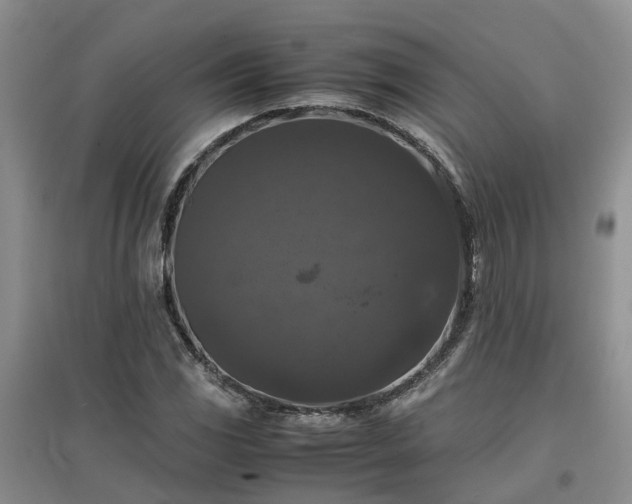X0000097001117200802151408