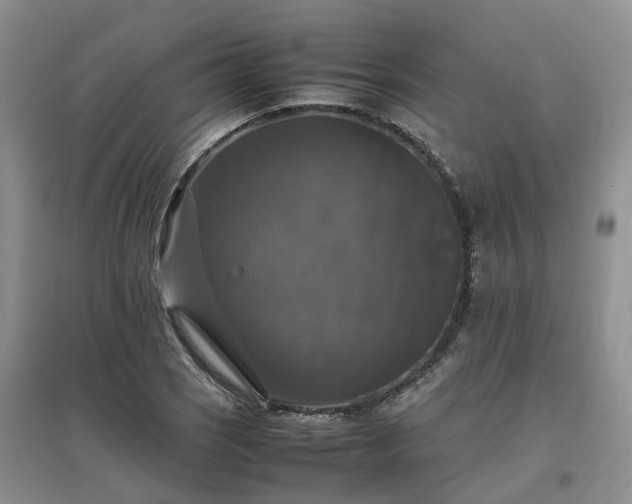 X0000097001121200802151408