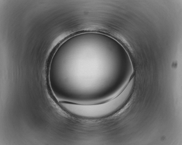 X0000097001122200802151408
