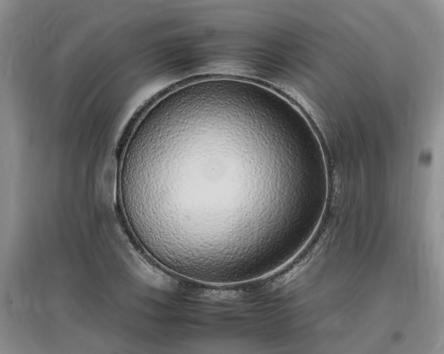 X0000097001123200802151408